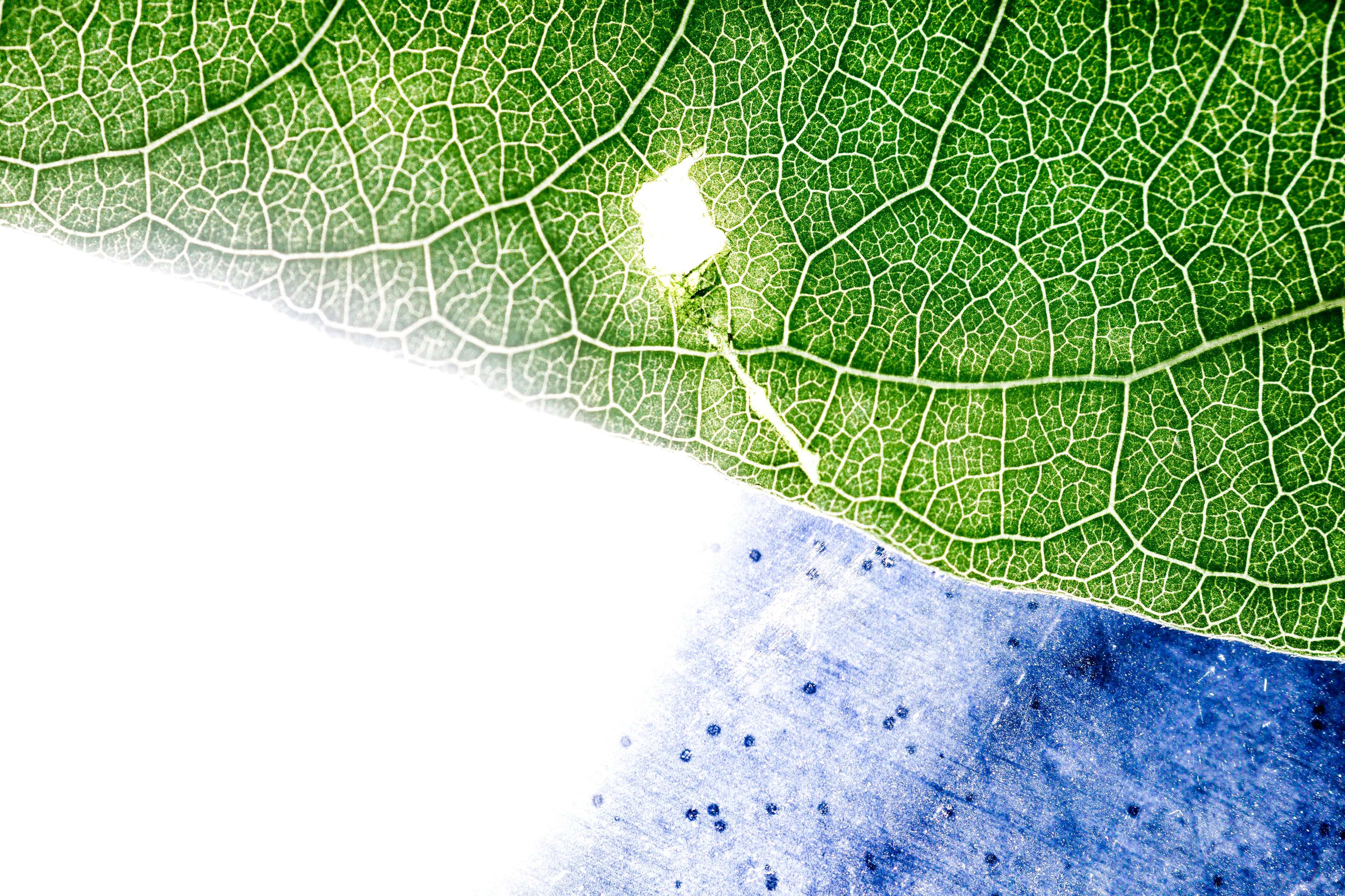 Case Studies on Research and Innovation​ Article Cover