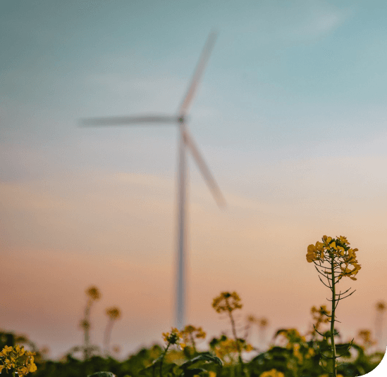 Case Studies to support the Green Transition