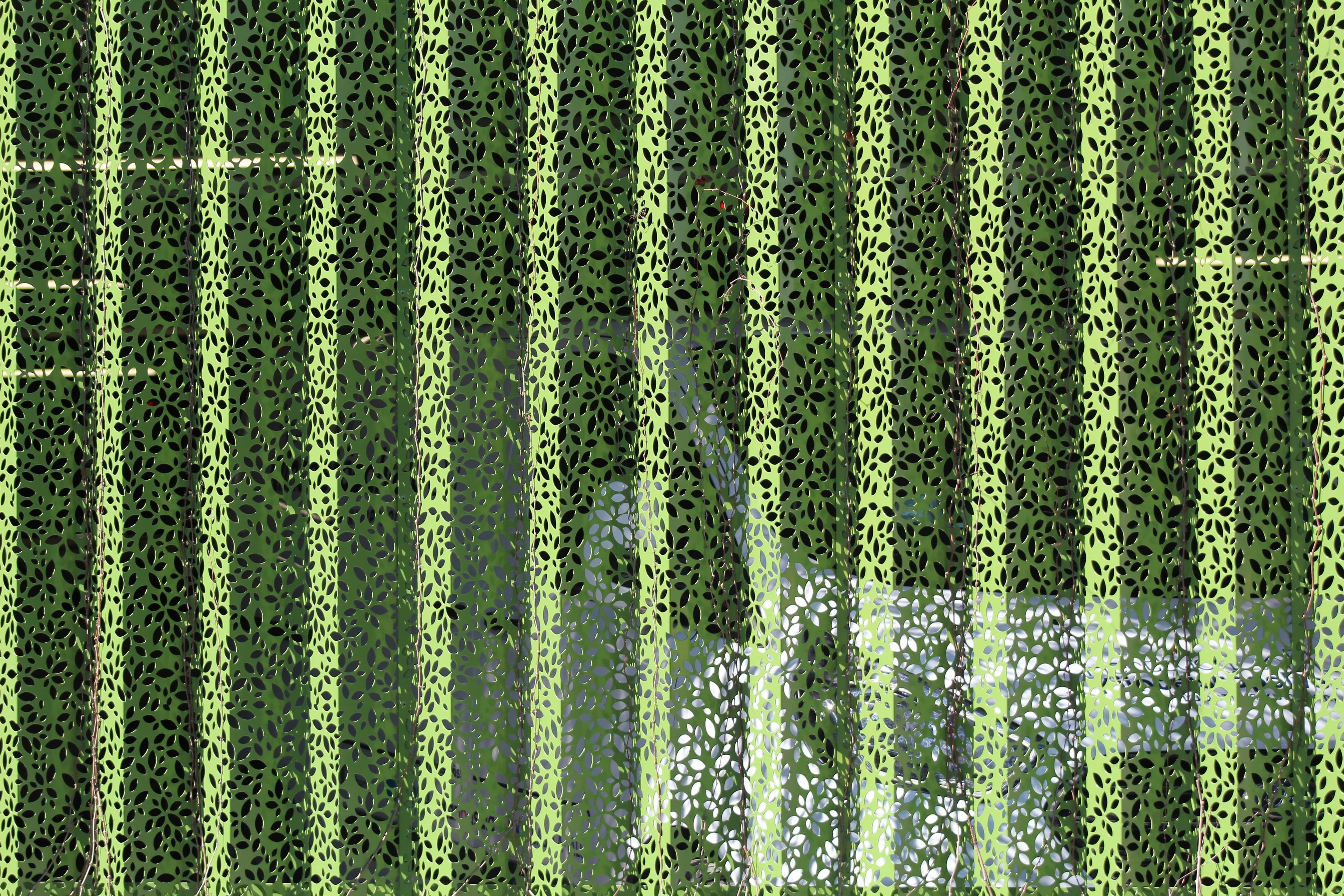 Alignment of ‘Skills, Education and Training’ with European Green Deal Objectives ​ Article Cover